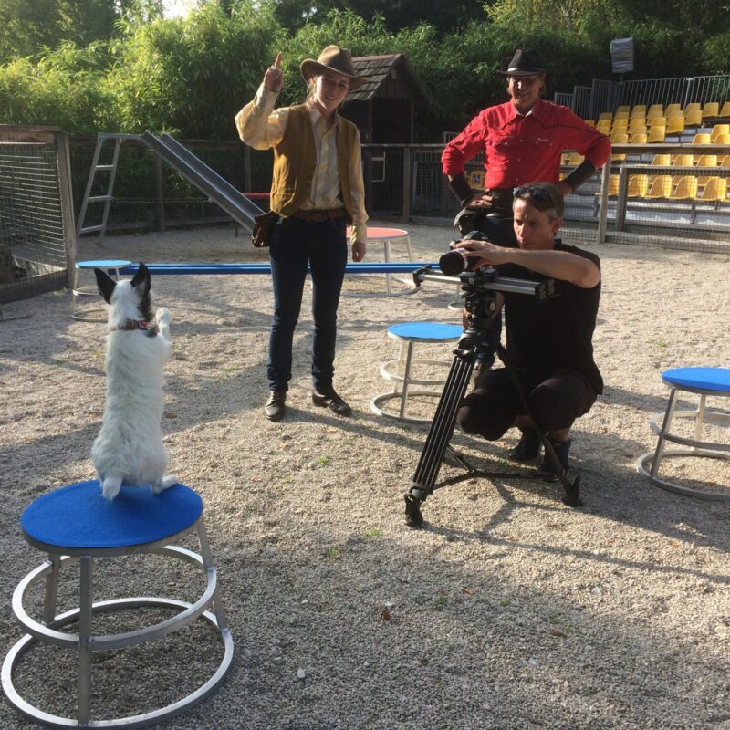 Tournage d'un vidéo avec un chien, des dresseurs et un caméraman