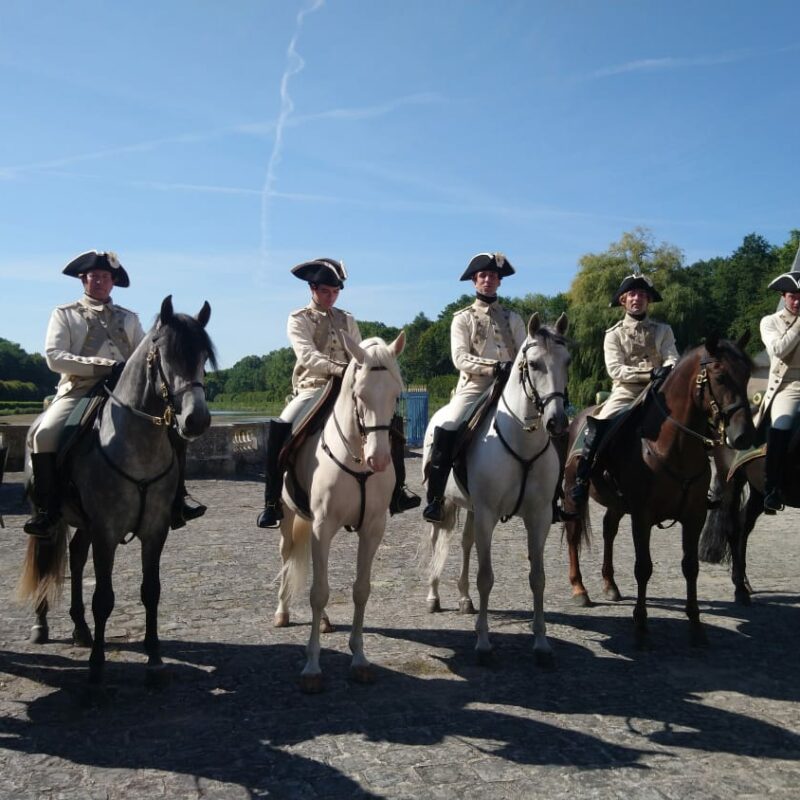 Chevaux - Agence Arkann - Cinéma - Publicité - Clips - Casting - Location - Événementiel