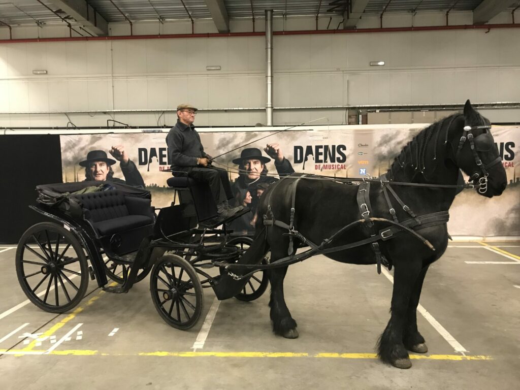 cheval dressage cinema arkann 03