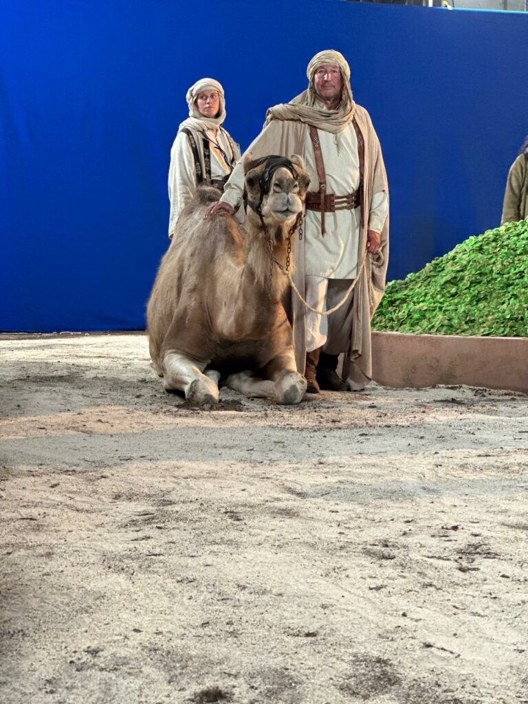 dromadaire tournage cinema arkann 17