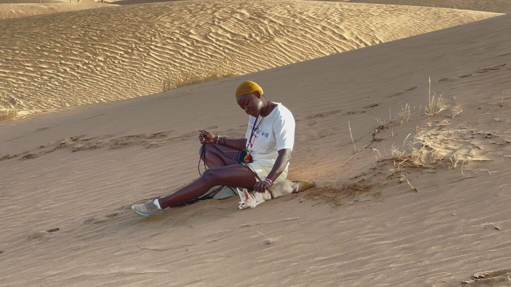 fennec renard desert cinema arkann 01