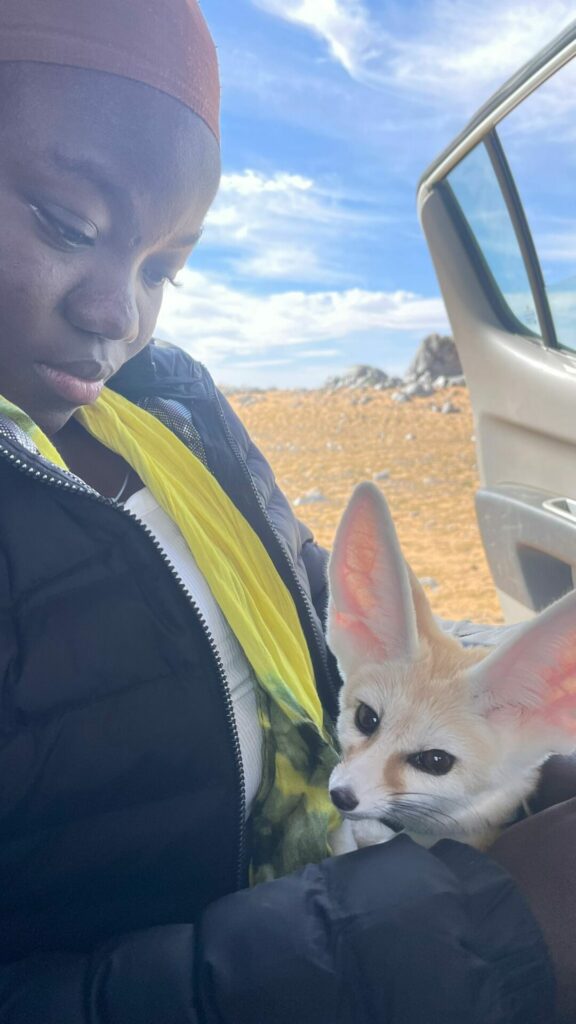 fennec renard desert cinema arkann 06