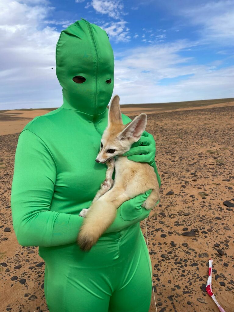 fennec renard desert cinema arkann 07