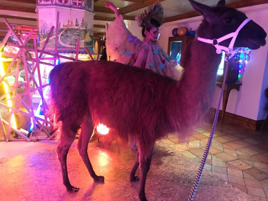 lama tournage cinema arkann 03
