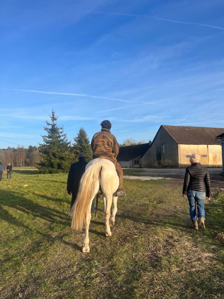 poney dressage cinema arkann 10