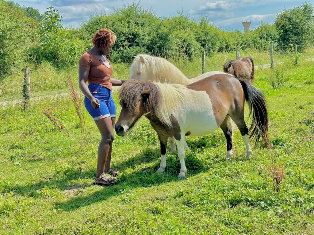 poney dressage cinema arkann 14